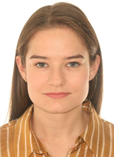 ���� ���������