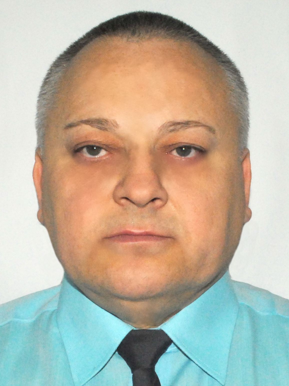 ���� ���������