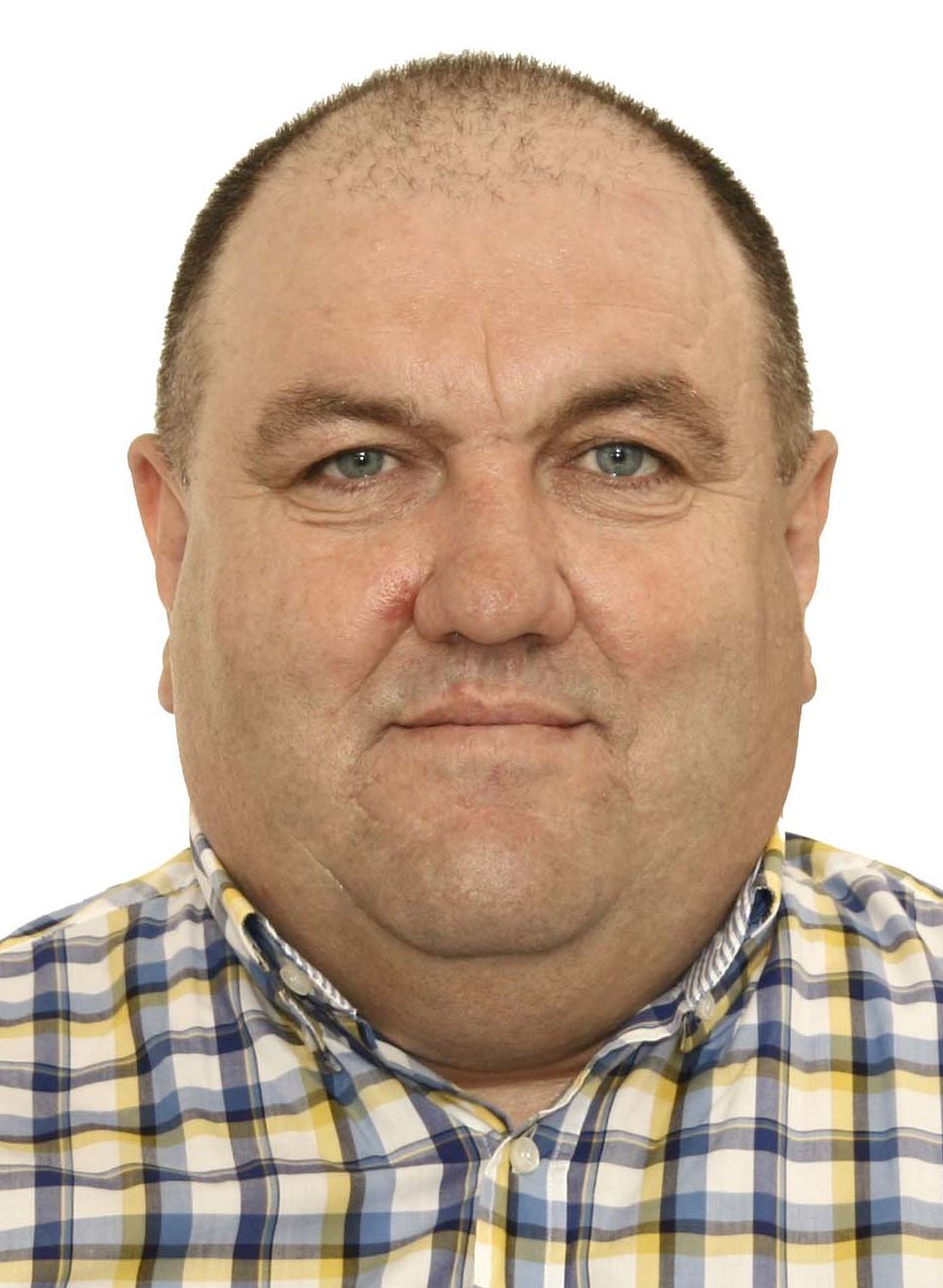 ���� ���������