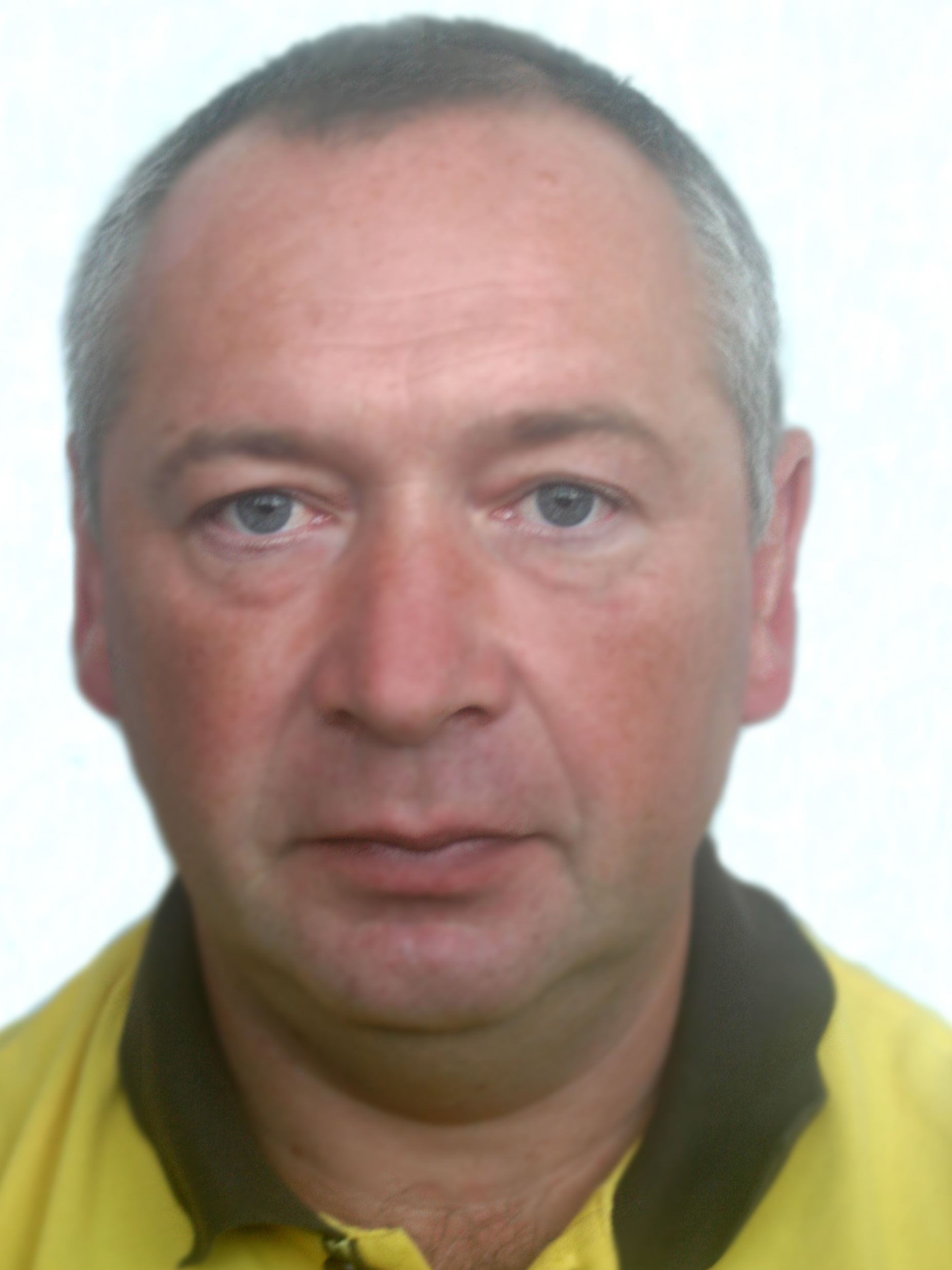 ���� ���������