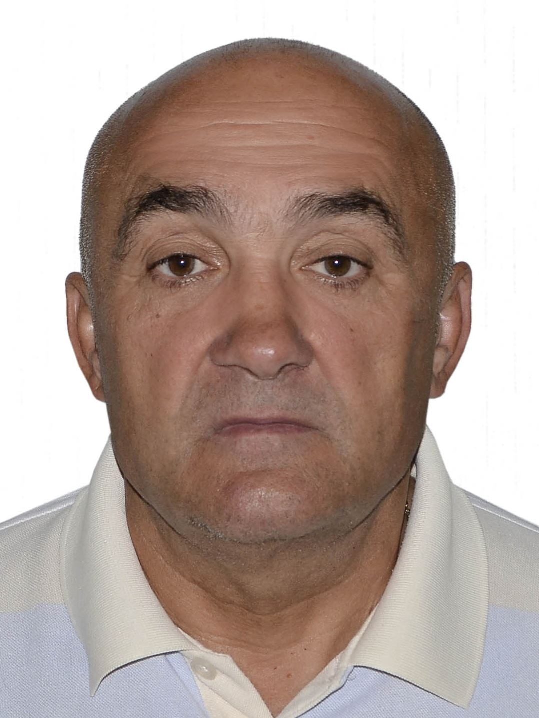 ���� ���������