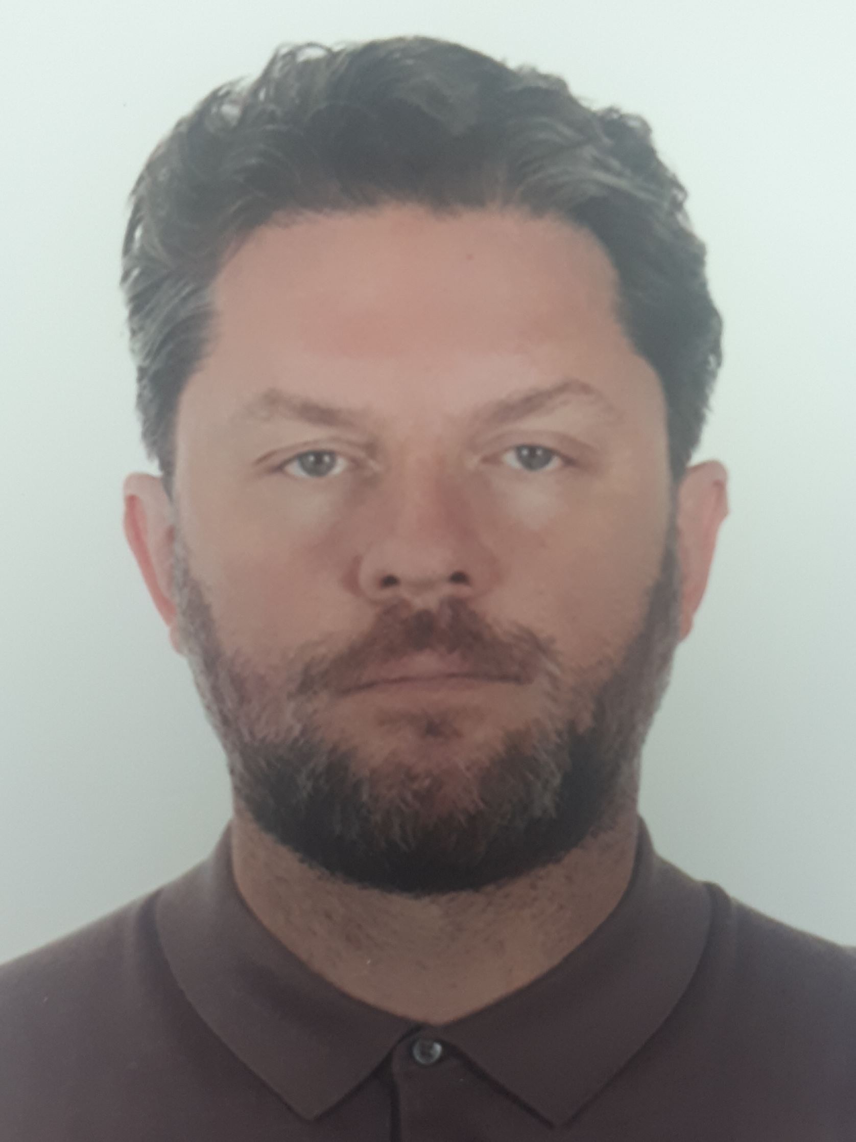 ���� ���������