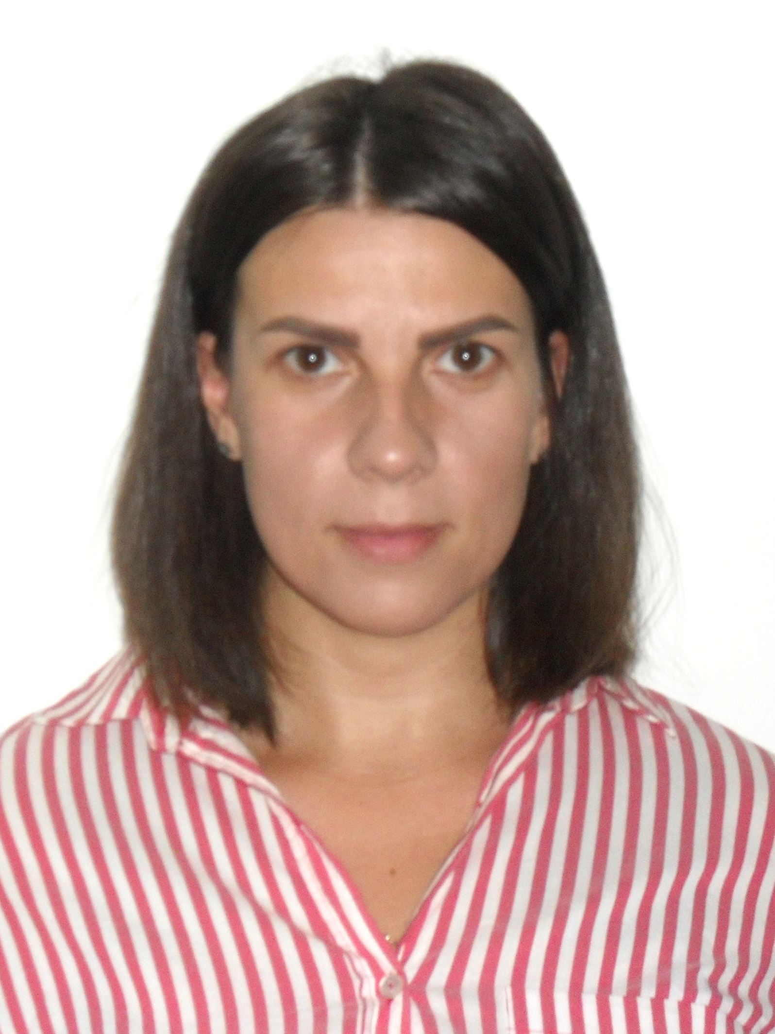 ���� ���������