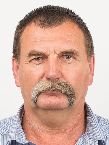 ���� ���������