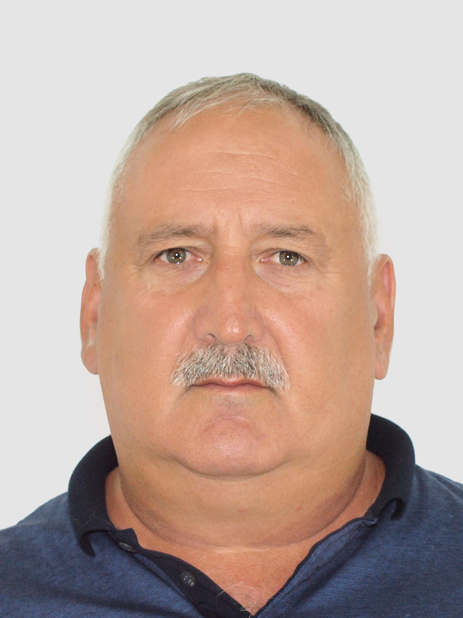 ���� ���������