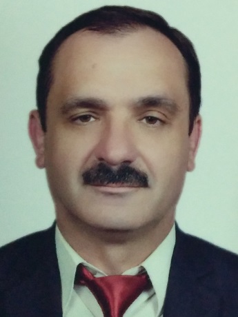 ���� ���������