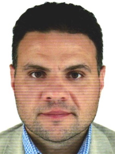 ���� ���������