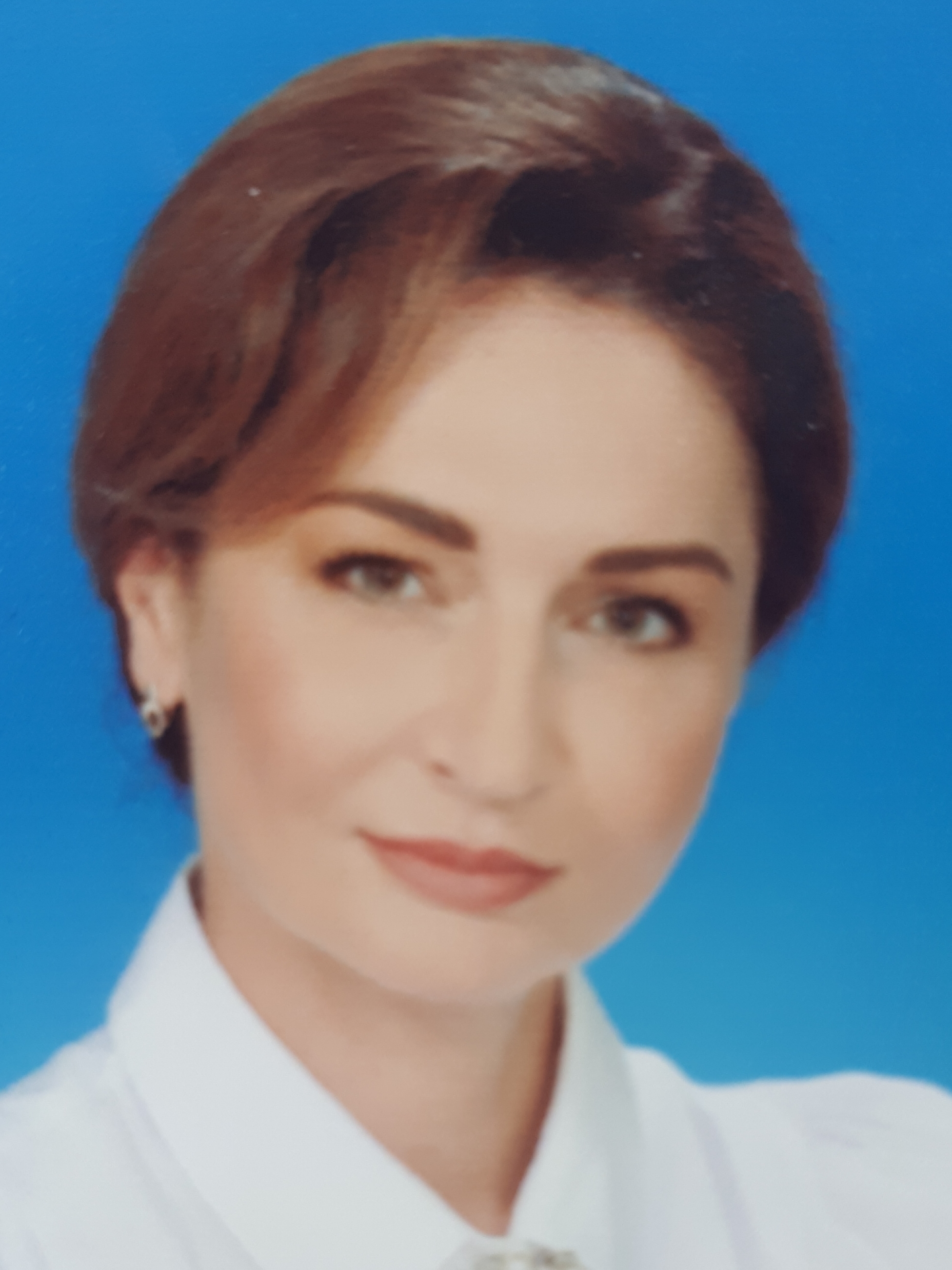 ���� ���������