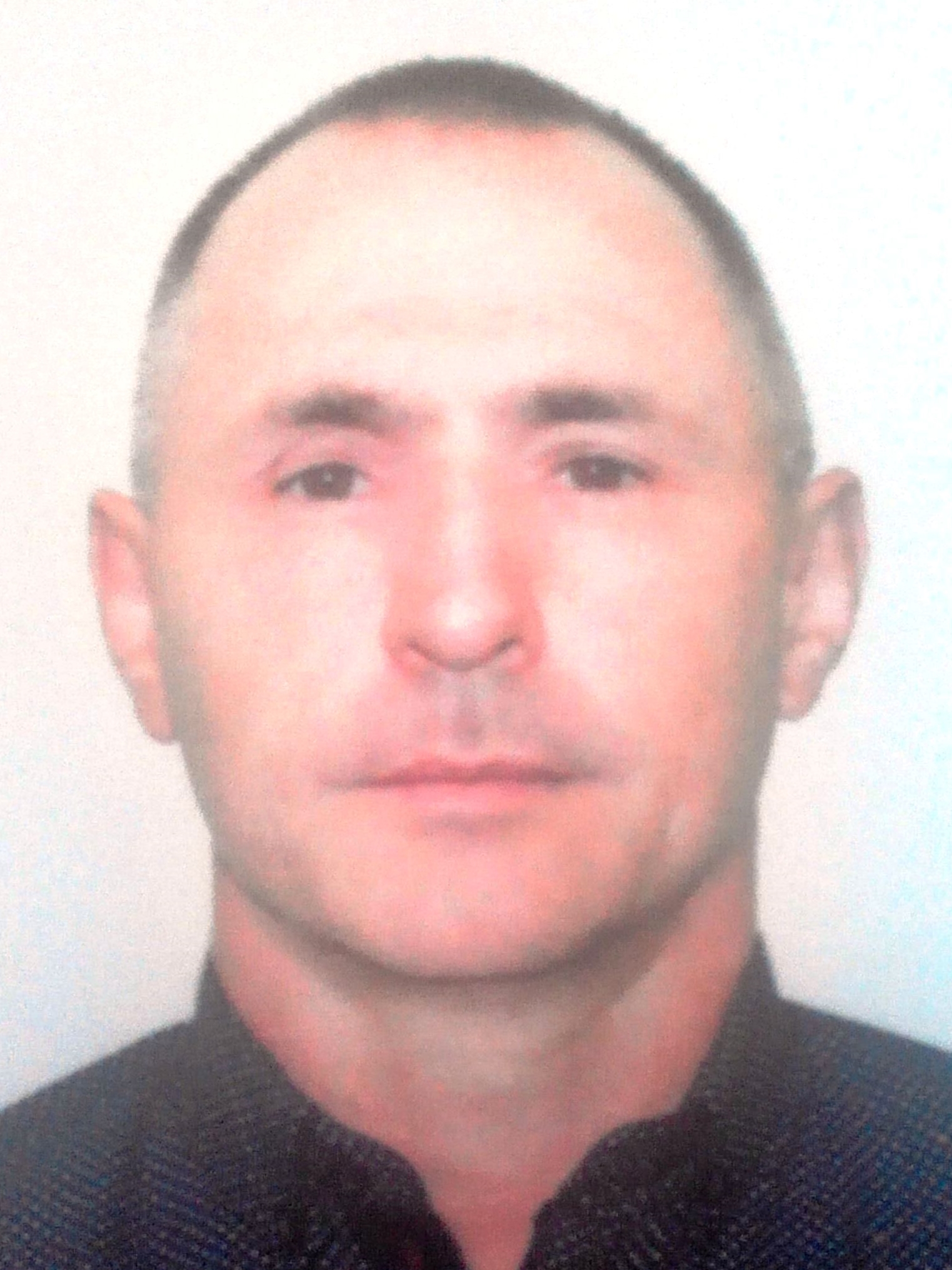 ���� ���������