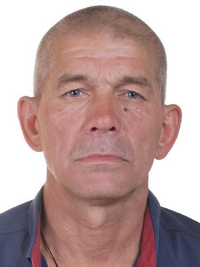 ���� ���������