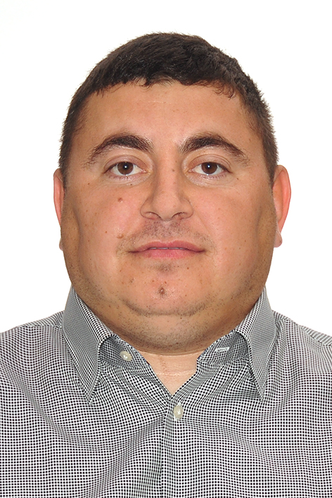 ���� ���������