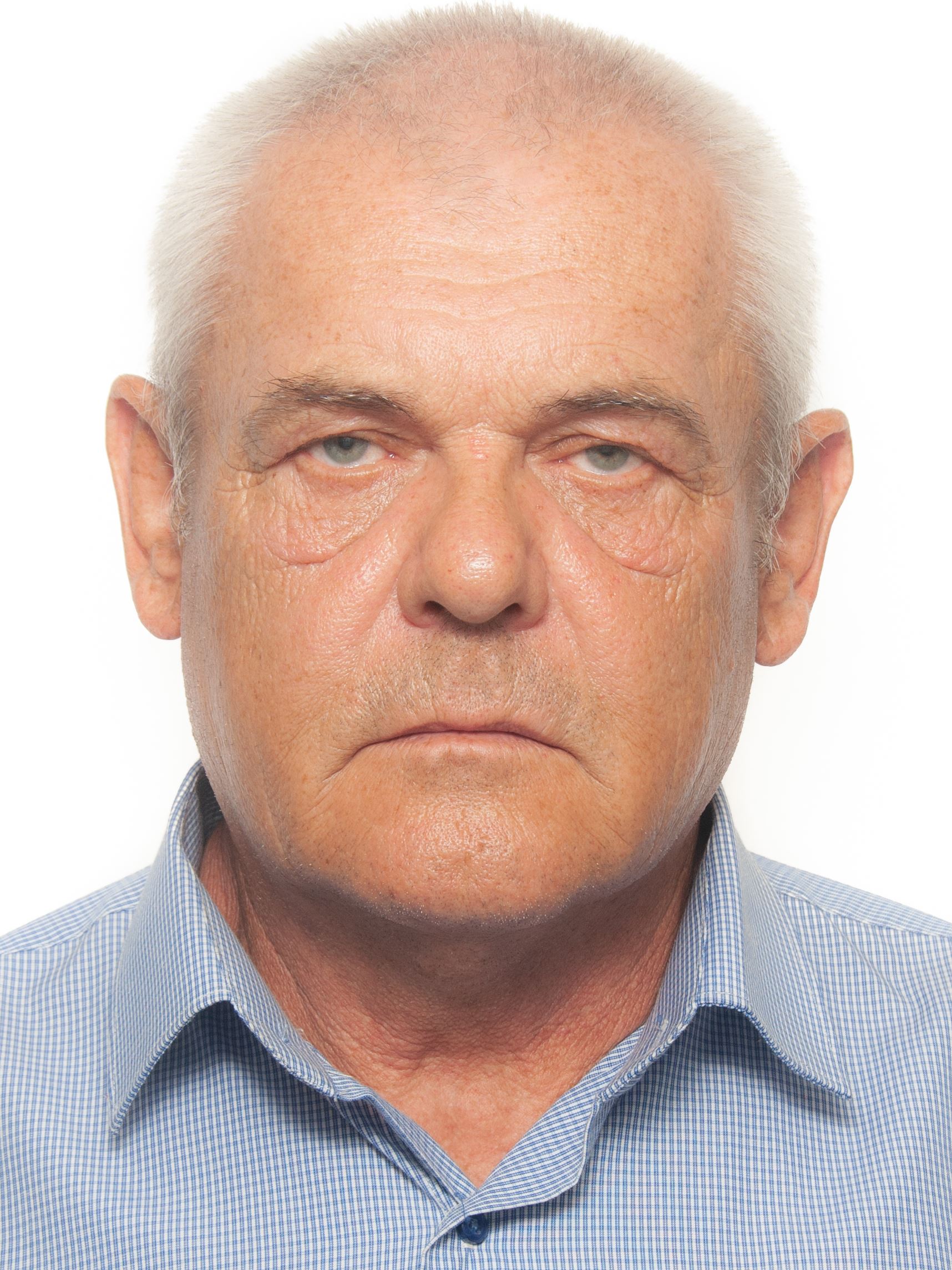 ���� ���������