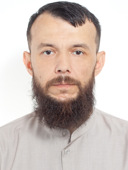 ���� ���������