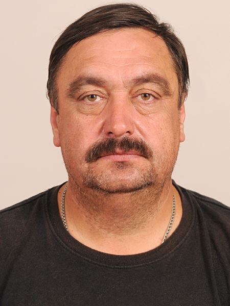 ���� ���������